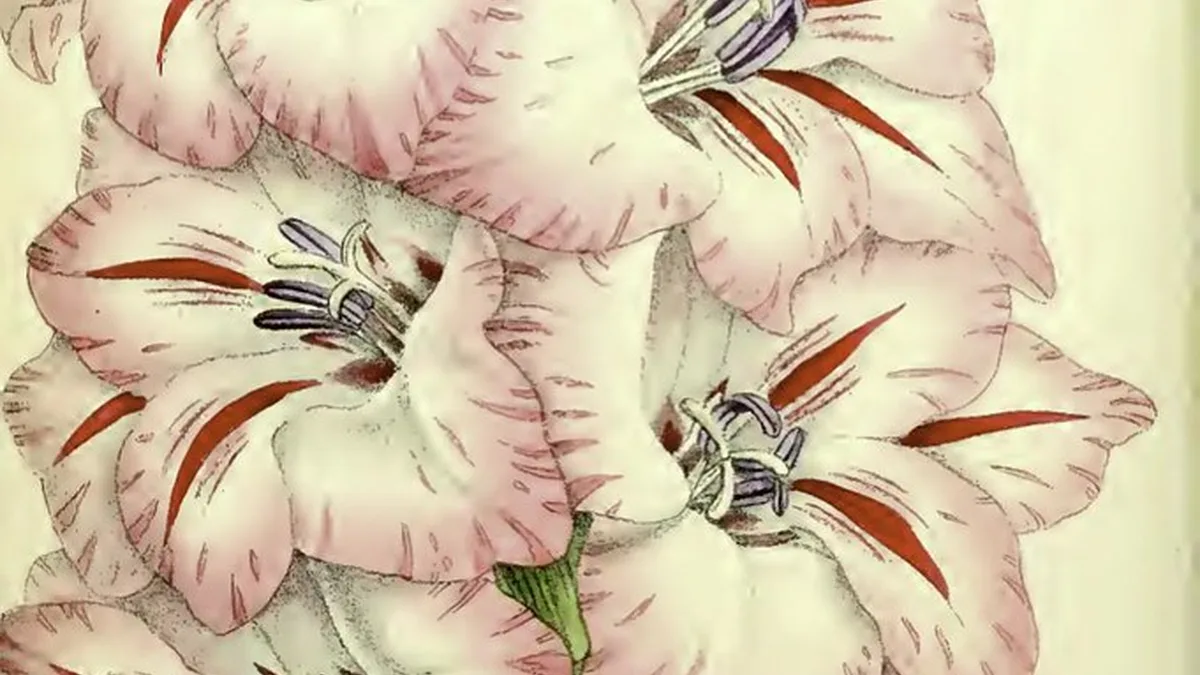 Floral